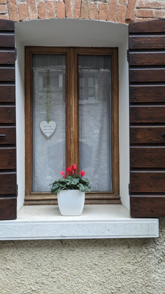 PXL 20231015 115159430