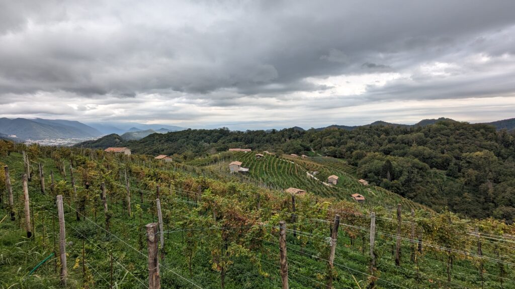 PXL 20231015 120847536