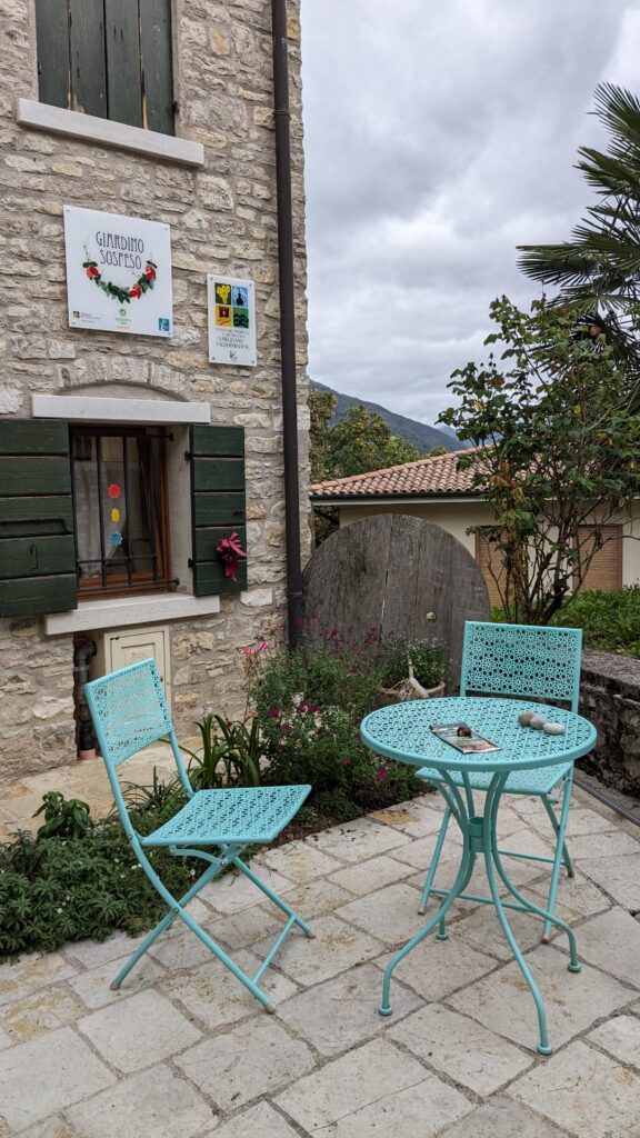 PXL 20231015 122916886