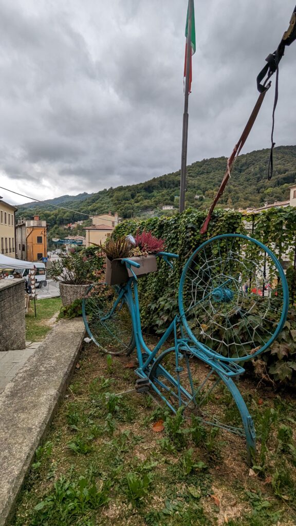 PXL 20231015 123152131