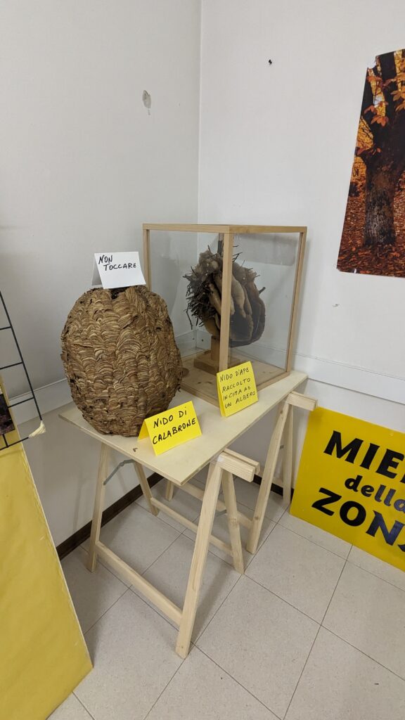 PXL 20231015 123521166